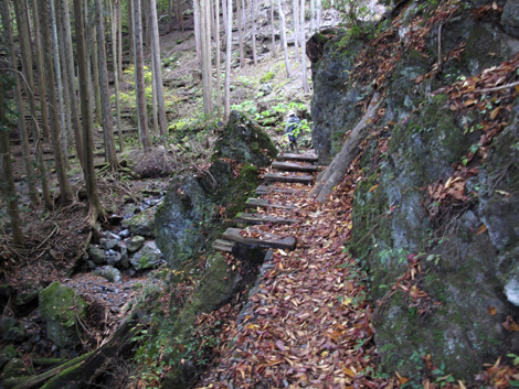 20151116hike (309)